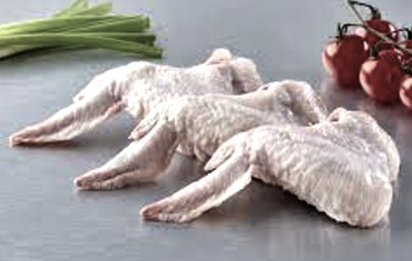 Frozen Chicken Supplier