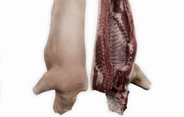 Frozen Pork Wholesale