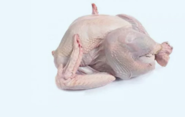 Frozen Turkey Wholesale